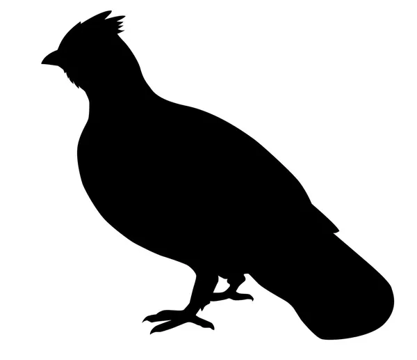 Poule aux noisettes — Image vectorielle