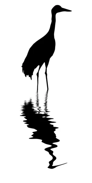 Crane amongst water — Stock Vector