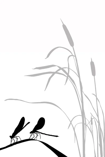 Libellules sur herbe — Image vectorielle