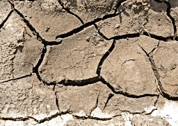 Dry land — Stock Photo, Image