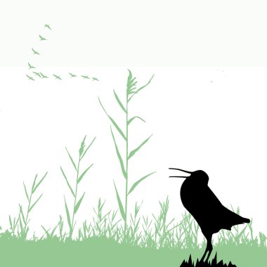 Silhouette of the snipe clipart