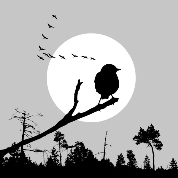 Oiseau sur branche — Image vectorielle