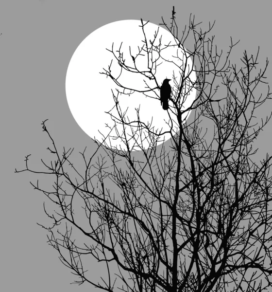 Raven zittend op boom tegen zon — Stockvector