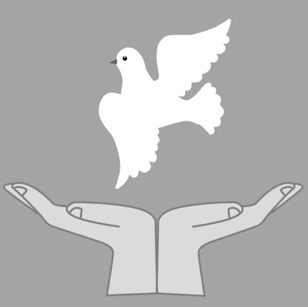 Dove in hands — Stock Vector