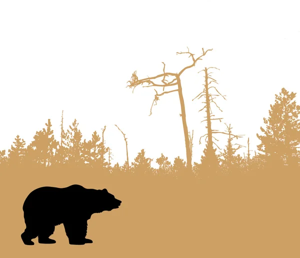 Медведь — стоковый вектор