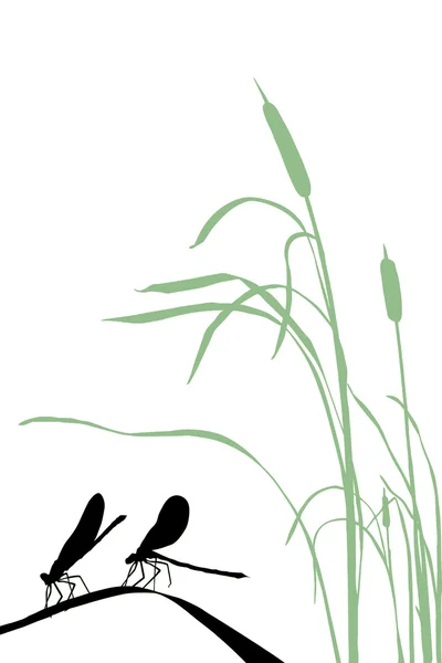 Две стрекозы на траве — стоковый вектор