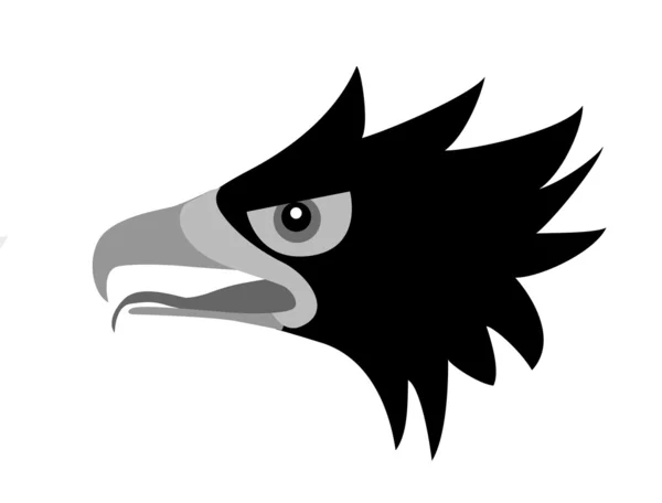 Tête de l'oiseau ravageur — Image vectorielle