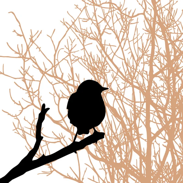 Pájaro en rama — Archivo Imágenes Vectoriales