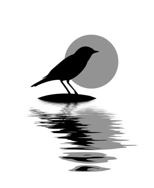 Pássaro sobre pedra entre a água — Vetor de Stock