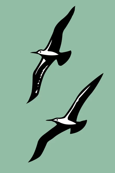 Aves marinas — Vector de stock