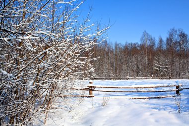 Winter landscape clipart