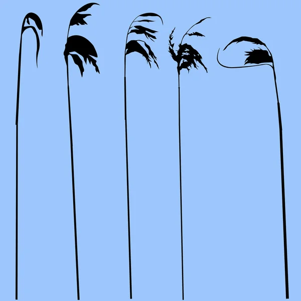 Silhouette vectorielle de l'herbe isolée sur fond bleu — Image vectorielle