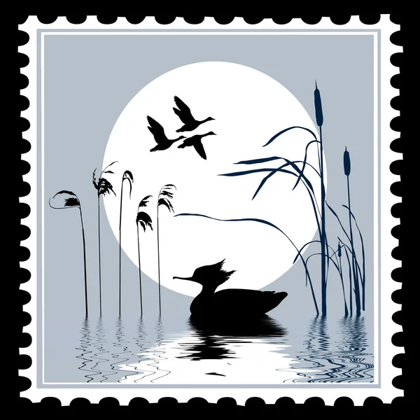 Vektor silhuett fågel på frimärken — Stock vektor
