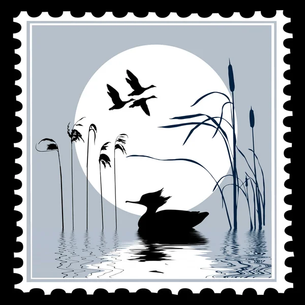 Vector silhouette bird on postage stamps Vector Graphics