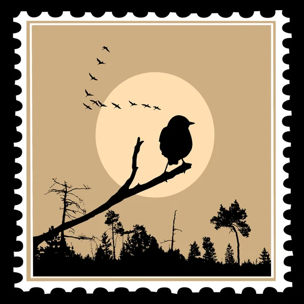 Vector silhouette of the birds on postage stamps — Stock Vector