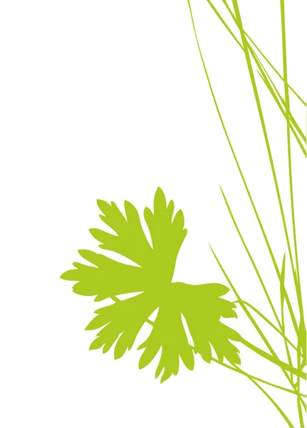 Feuille verte sur fond blanc — Image vectorielle