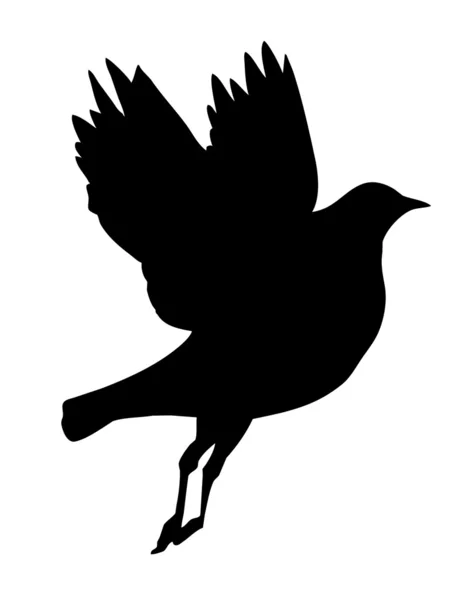 Векторный силуэт летающих птиц на белом фоне — стоковый вектор