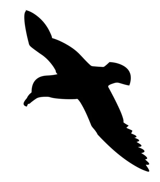 Vektorsilhouette des Seevogels auf weißem Hintergrund — Stockvektor