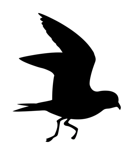 Silueta vectorial del pájaro salvaje sobre fondo blanco — Archivo Imágenes Vectoriales