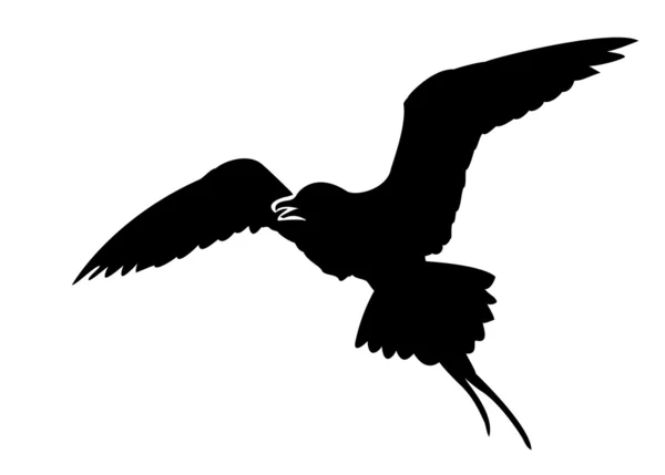 Silhouette vettoriale dell'uccello marino su sfondo bianco — Vettoriale Stock