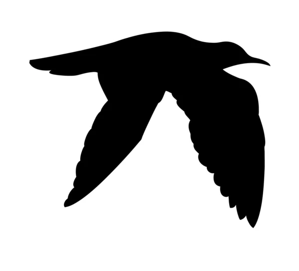 Vektorsilhouette des Seevogels auf weißem Hintergrund — Stockvektor