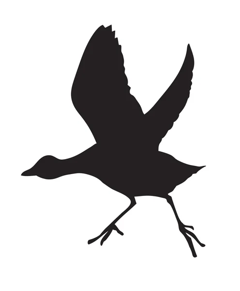 Silueta vectorial del pájaro sobre fondo blanco — Vector de stock
