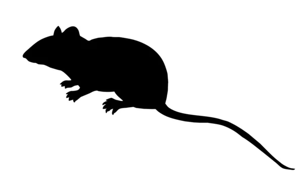 Vector silhouette mouse on white background — Stock Vector