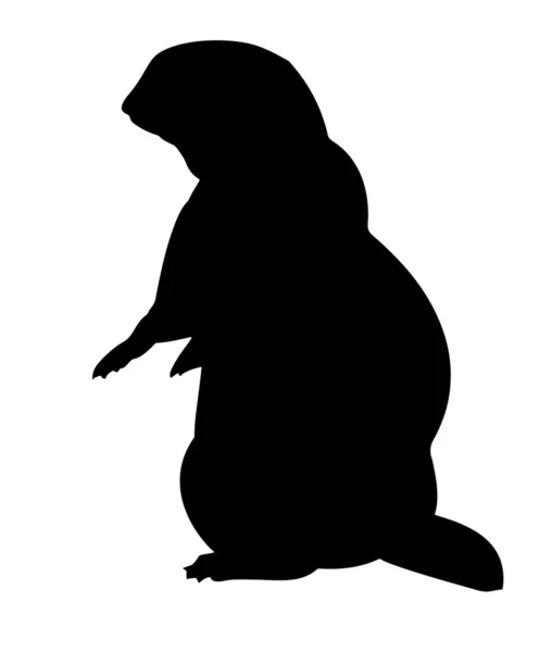 Vector silhouette gopher on white background — Stock Vector