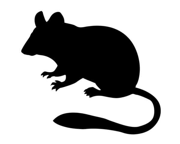 Είδος μικρού ποντικού σιλουέτα διάνυσμα σε άσπρο φόντο — Διανυσματικό Αρχείο