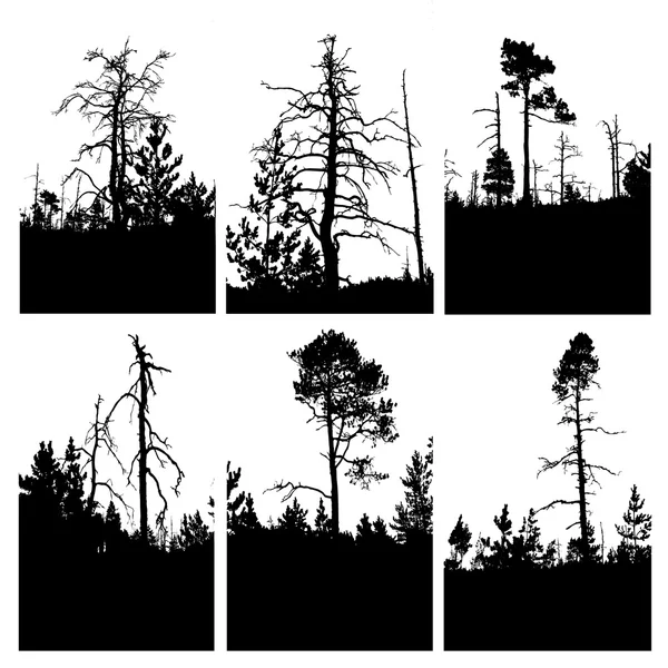 Silhouettes vectorielles arbre sur fond blanc — Image vectorielle
