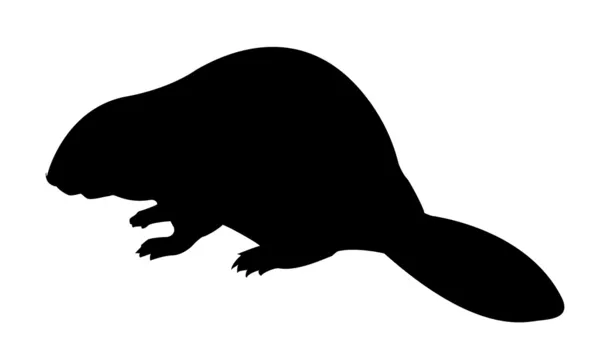 Vector silhouette beaver on white background — Stock Vector