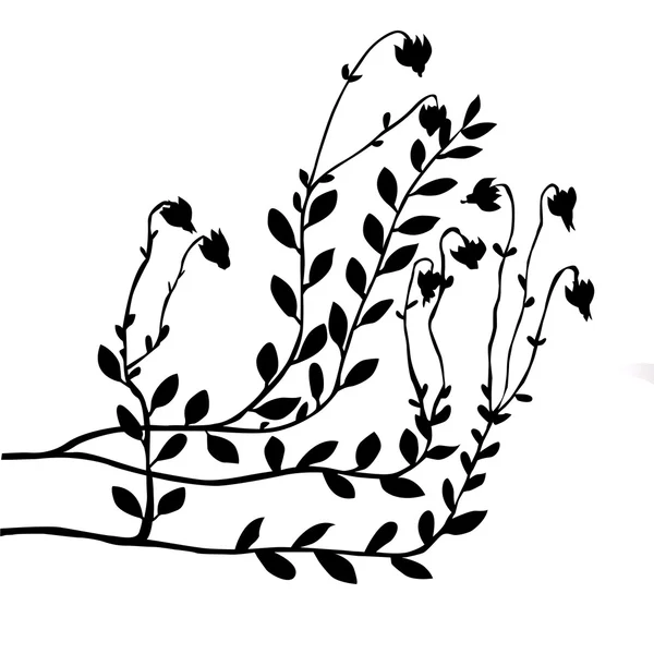 Vetor arbusto de cranberry no fundo branco — Vetor de Stock