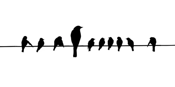 Vektorové siluety ptáků, na drát — Stockový vektor
