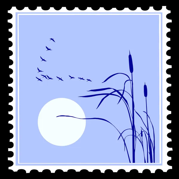 Sylwetka wektor ptaków na znaczkach pocztowych — Wektor stockowy