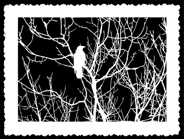 Vektor Silhouette Vogel auf schwarzem Hintergrund — Stockvektor