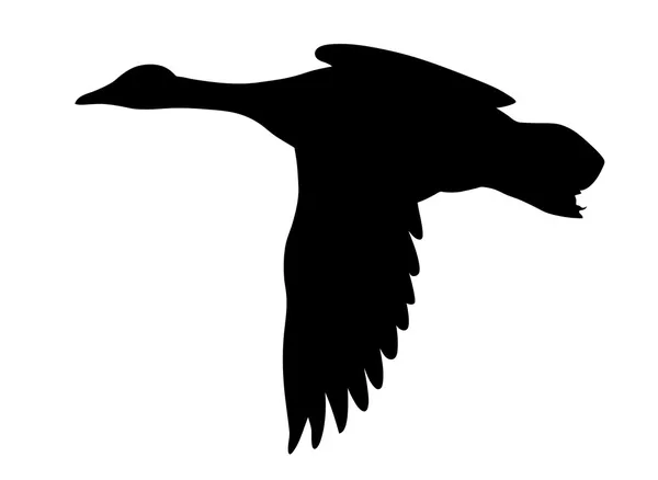 Векторный силуэт летающих уток на белом фоне — стоковый вектор