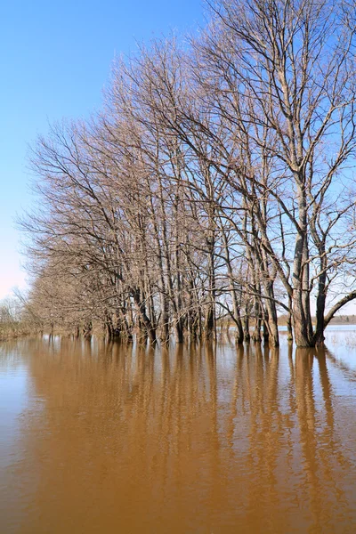 Πλημμύρες στο ξύλο — Φωτογραφία Αρχείου
