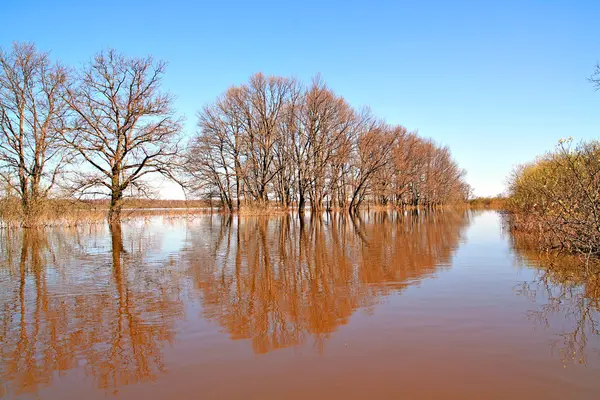 Inundación en madera —  Fotos de Stock