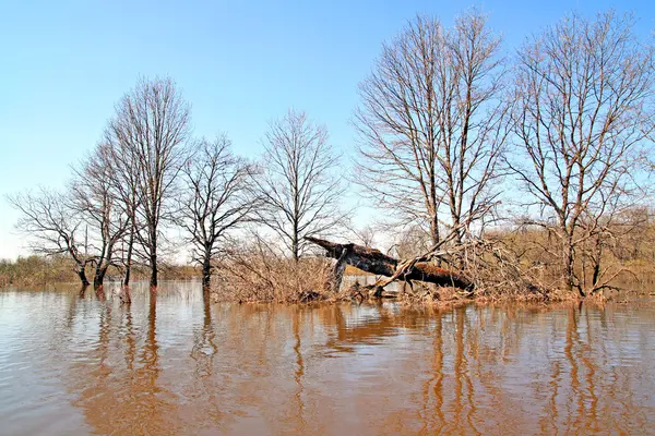Πλημμύρες στο ξύλο — Φωτογραφία Αρχείου