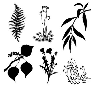 vector set of the plants on white background clipart