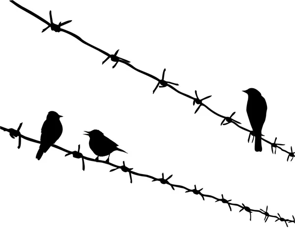 Vector silhouette three birds on barbed wire — Stock Vector