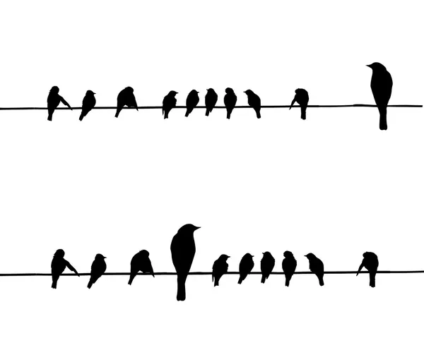 Vektorové siluety ptáků, na drát — Stockový vektor