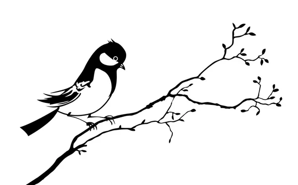 Vector silhouette of the bird on branch tree — Stock Vector