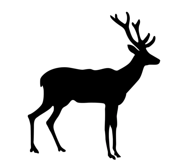 Векторный силуэт оленя на белом фоне — стоковый вектор