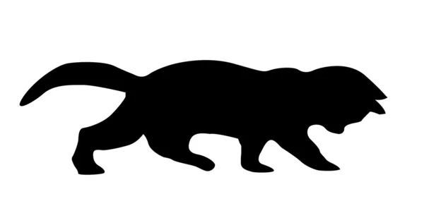 Vetor silhueta gato no fundo branco — Vetor de Stock
