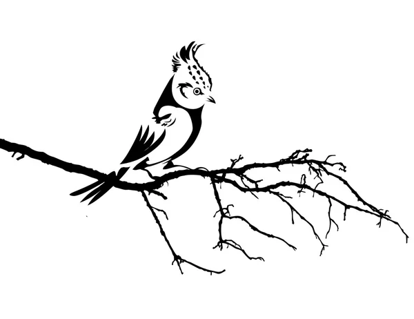 Векторний силует птаха на гілці — стоковий вектор