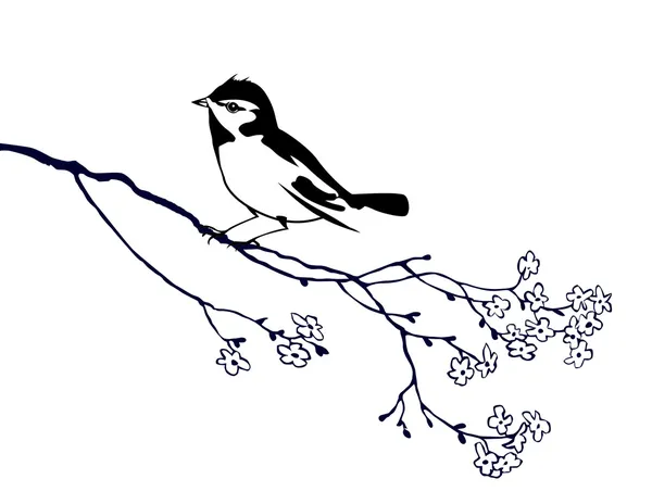 Silueta vectorial del pájaro en el árbol de ramas — Archivo Imágenes Vectoriales