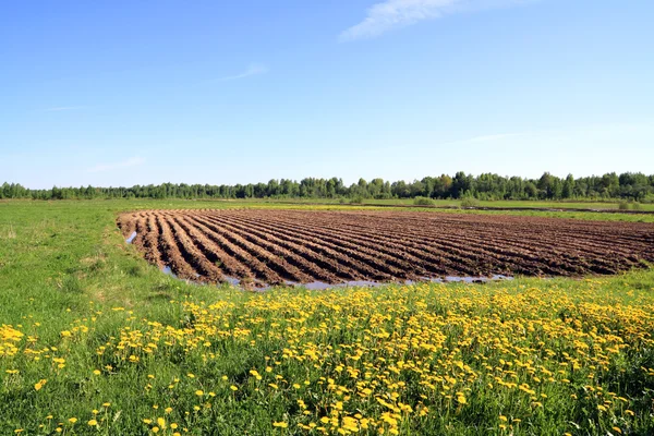 Ploegen veld — Stockfoto