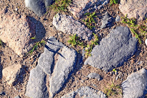Aging paving stone — Stock Photo, Image