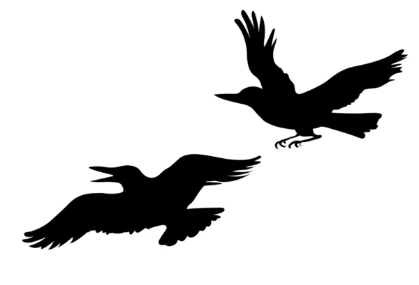 Vector dibujo dos cuervos sobre fondo blanco — Archivo Imágenes Vectoriales